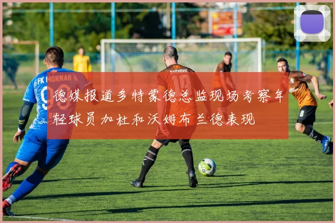 德媒报道多特蒙德总监现场考察年轻球员加杜和沃姆布兰德表现